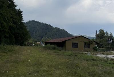 Teren de vânzare – 13.500 mp | DN7 – Valea Oltului | Brezoi - 8