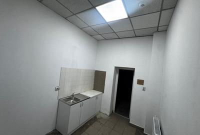 Theodor Pallady hala depozitare /productie 550  mp de inchiriat - 18