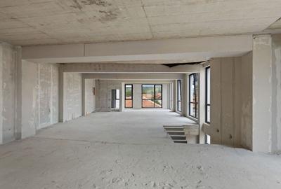 Spatiul Comercial Semifinisat, P+E de inchiriat Beliu Arad, Traffic - 3