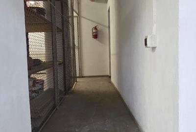Spatiu 137 mp, str. Avram Iancu, demisol, acces auto si pietonal in interior. - 3