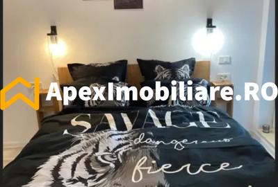 Apartament 2 camere de inchiriat Parcul Carol București | ApexImobiliare.ro - 4