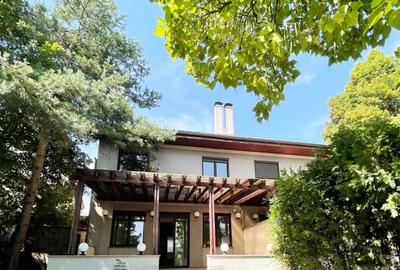 Vila de inchiriat cu vedere lac pentru rezidenta/birouri/clinica/comercial - 3