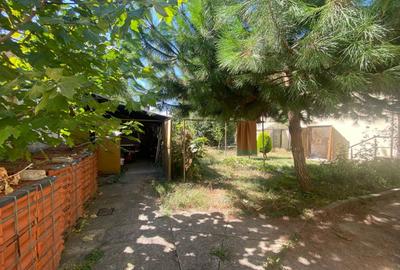 Case de vânzare Lugoj, zona Central - 3