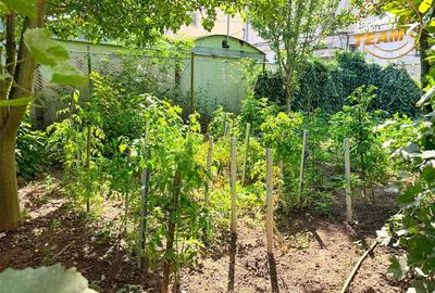 Casa cu etaj, garaj si panorama frumoasa, Sfantu Gheorghe, Covasna - 7