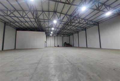 Platforma industriala cu 2 hale, aproape de centura - 6
