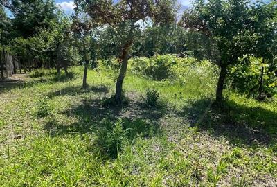 Casă de vânzare – Puchenii Mari, la 15 km de Ploiești - 9