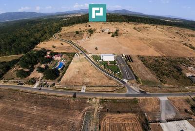 Teren agricol extravilan de 10000 mp, în Exterior Nord