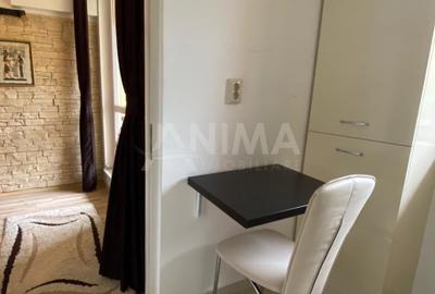Apartament 1 cameră, 40 mp, etaj 1, Str. Viilor, mobilat și utilat - 2