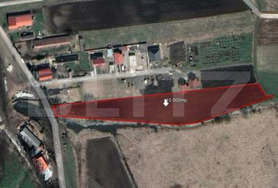 Teren Construcții intravilan de 10000 mp, în Sânpetru