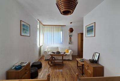 Vanzare vila P+1+M cu 5 camere, casa batraneasca , 2 garaje, teren 9249mp, - 9