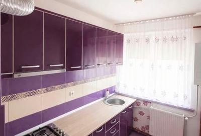Apartament 2 camere semidecomandate Calea Severinului-Gradina Botanica - 4