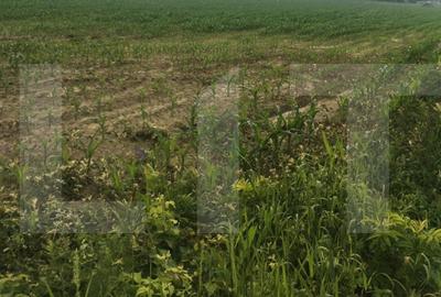 Teren agricol extravilan de 10800 mp, în Periferie