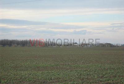 Teren cu dubla deschidere la Lac si Padure ,47  de loturi - 13