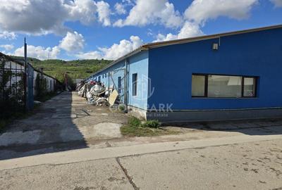 Hala de Vanzare -  Zona Floresti - VID - 1362mp - partial renovata - 15