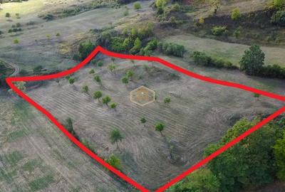 VIDEO | Super view | Teren 8.500 m² in Maramures | Viitorul tau colt de liniste - 10