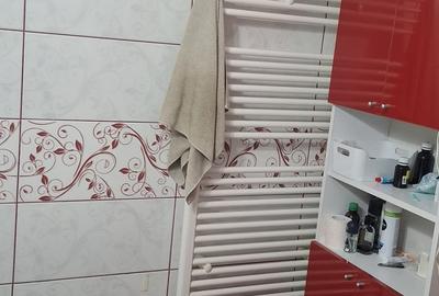 Teiul Doamnei Colentina, dec., 1985, mobilat/utilat, renovat, instalatii noi, AC - 8
