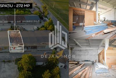 Hală Industrială | 5.000 MP | Sfântu Gheorghe - 13