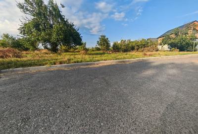 Teren intravilan 1.600 mp Mioveni – Zona Pruni - 1