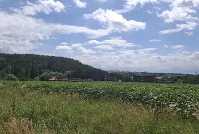 Se vinde teren de 5000mp, intr o zona foarte liniștită aproape de pădure - 2