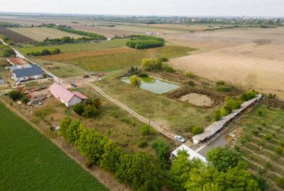 Casă cu teren 13 418 mp intravilan - 26