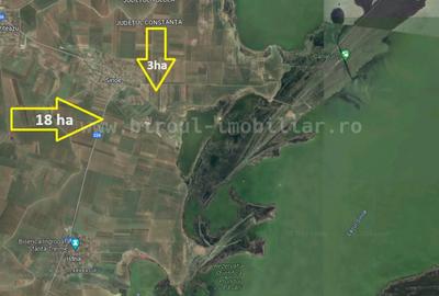 Vânzare teren agricol comasat plus microferma direct la sosea - 4