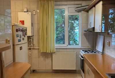 Drumul Taberei, Valea Argesului, Apartament 3 camere de inchiriat - 2