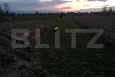 Teren Construcții intravilan de 2900 mp, în Vințu de Jos