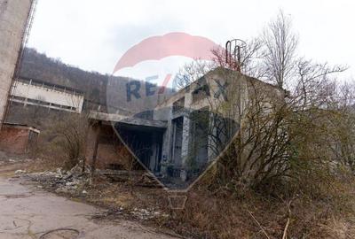 Platforma industriala 33.000 mp | fosta fabrica dolomita | acces TIR | - 13