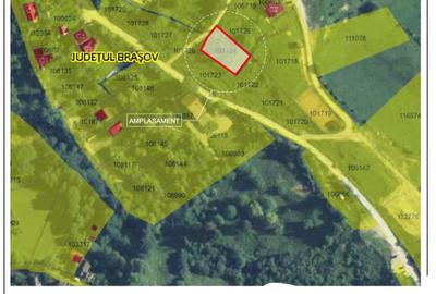Teren Construcții intravilan de 50 mp, în Turcheș
