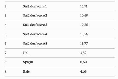 Spatiu comercial ultracentral in Moldova Noua - 5