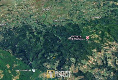 De vânzare teren extravilan  8,2037 ha pădure și pășune Borod, Bihor - 2