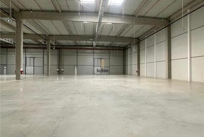 Spatiu Industrial - 3900 mp - Logistica - Productie - Depozitare - Distributie - 4