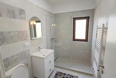 Inchiriem Apartament 2 Camere, Gradina 157 Mp, Mobilat, Decomandat, Sanpetru - 17