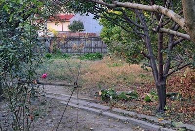 Oportunitate dezvoltare/constructie  2 proprietati Casa+teren 2200 m2,zona buna, - 11