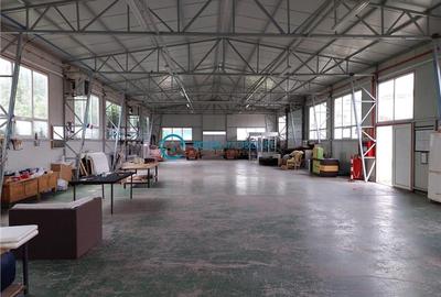 Spațiu industrial, de 3,000 mp, în Exterior Est