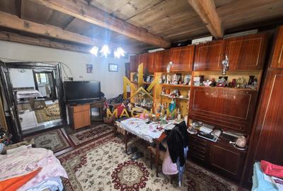 Casă P+M de vânzare | 450 mp teren | Centru Baia Sprie - 10