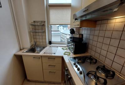 Inchiriere apartament 2 camere, Cismigiu-Luigi Cazzavillan - 17