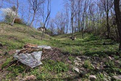 Teren foarte bine pozitionat in Brebu, Prahova - 8