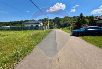 De vanzare Teren intravilan 1000 mp, langa padure, Moara Vlăsiei - 5
