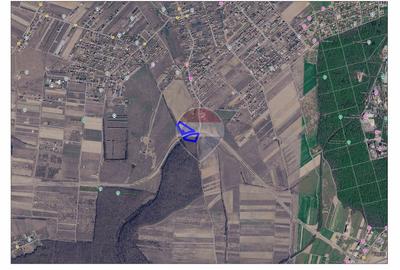 Teren intravilan 8.829 mp, Inel Metropolitan Oradea, Cihei, de vânzare - 9