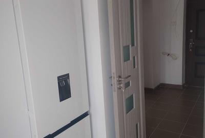 De Inchiriat Garsoniera Pet Friendly, metrou Muncii - 5