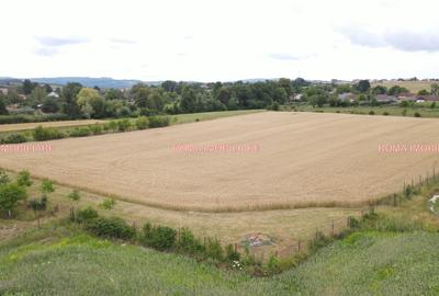 TEREN INTRAVILAN DE VÂNZARE – ȘOMCUTA MARE, MARAMUREȘ - 5