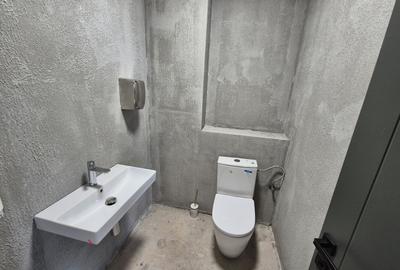 CLADIRE DE INCHIRIAT FLOREASCA - 14