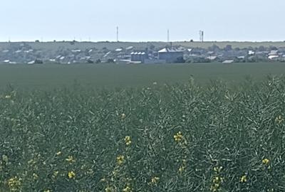 Loturi sau case in rate Tuzla - 3