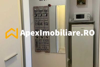 Garsoniera de inchiriat Banu Manta București | ApexImobiliare.ro - 8