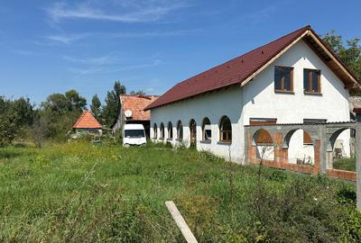 Vand casa singur in curte - P+M - teren 3000 mp - Marpod - 1