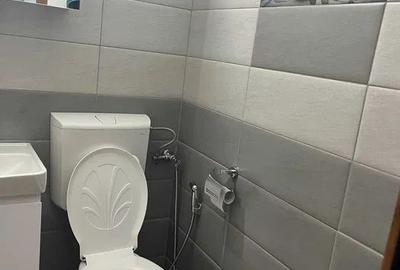 Inchiriere Apartament 2 camere Decomandat Renovat Drumul Taberei - 8