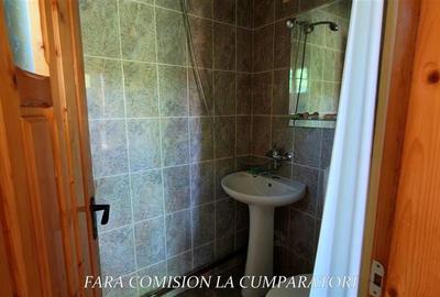 BUDESTI - CASA LA 15 MINUTE DE ORAS, TEREN 1233 MP - 8