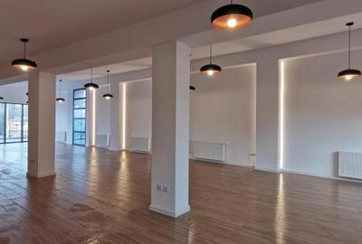 Spatiu renovat 2022- Victoriei- Buzesti parter subsol 360 mp - 16
