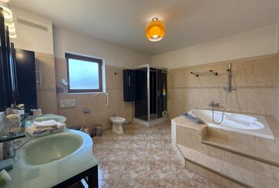 Vila Mogosoaia - 20